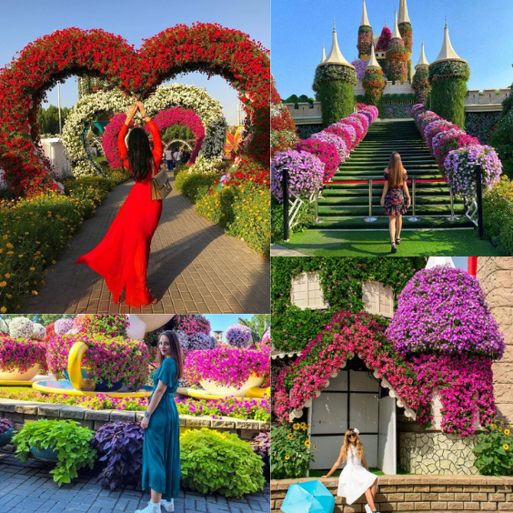 Dubai Miracle Garden